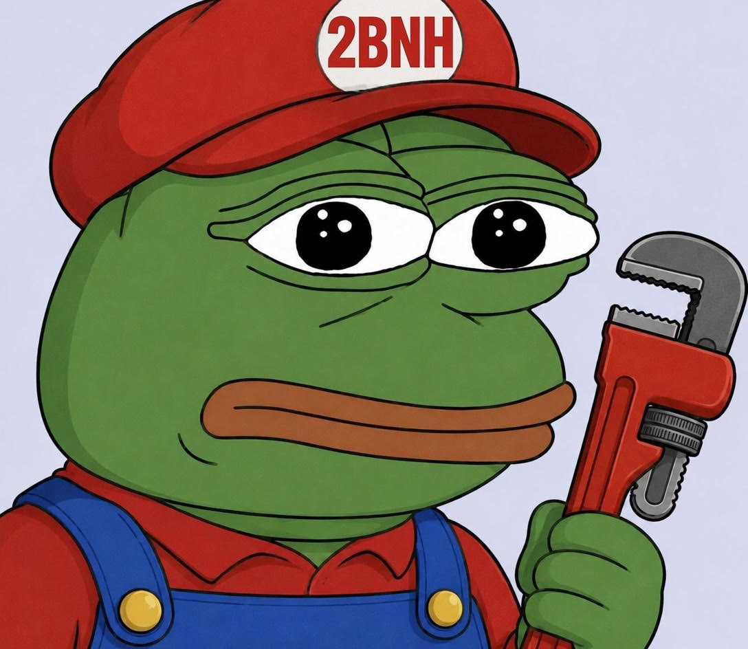 The 2 Bros No Hammers mascot, a green frog in a red cap holding a pipe wrench, ready to fix your leak